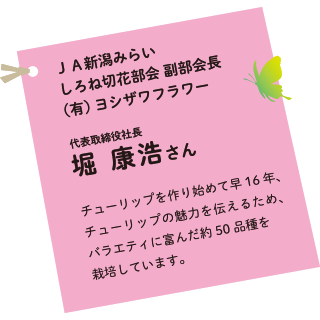 魚沼花き園芸組合　鈴木 健市さん リリーアンバサダー